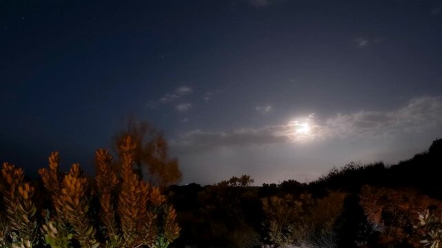 Moonrise through the clouds with hard-leaved shrubland called Fynbos in the foreground, 4K Time-lapse.