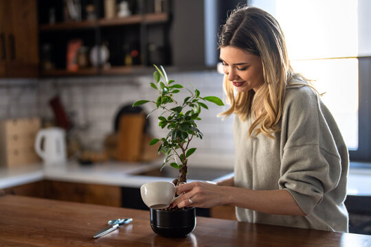 Plant care as a mindful hobby brings peace and relaxation, helping to reduce stress at home