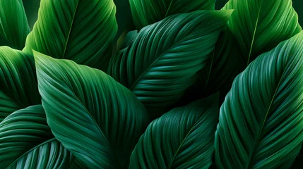 Fotobehang Tropisch Lush tropical palm leaves forming an elegant green botanical background with layered foliage and rich natural texture.  © Curioso.Photography