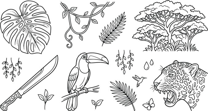 Jungle rainforest wild nature traditional vector elements doodle set with jaguar toucan monstera leaf machete trees vines hummingbird