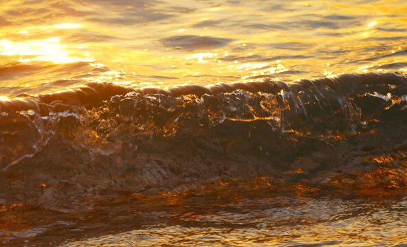 Golden wave sea splash on the beach in beautiful sunset with sparkle and shine,summer sea water splash background