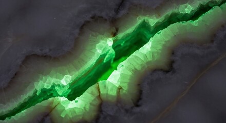 Fototapeta premium Glowing green vein abstract