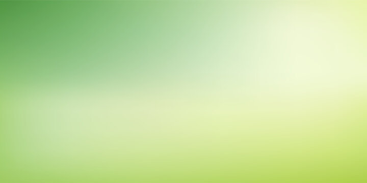 Nature gradient backdrop with bright sunlight. Abstract green blurred background.