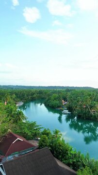 Aerial drone rising shot revealing Loboc river and lush jungle in Bohol Philippines