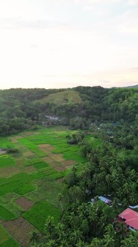 Aerial 360 drone view of Loboc river valley with mountains and rice fields in Bohol Philippines