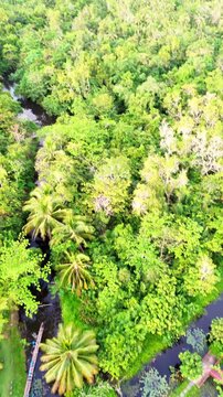 Aerial 360 drone view of Loboc river valley with mountains and rice fields in Bohol Philippines