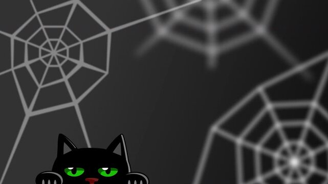 Cute Halloween Black Cat with Green Eyes Peeking, Animated Cartoon Cat Character Corner Background, Spooky Spiderweb Template Loop, 2D Vector Video Asset, 4K 60fps