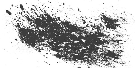Fototapeta premium Black ink splash and paint splatter texture on white background vector illustration