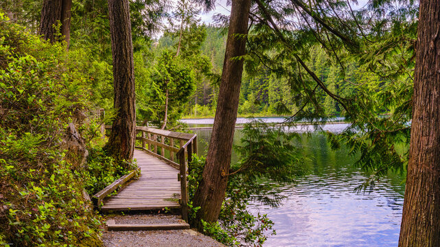 Lakeside boardwalk on forest trail in early summer at Sasamat Lake, Belcarra Provincial Park, BC, Canada.