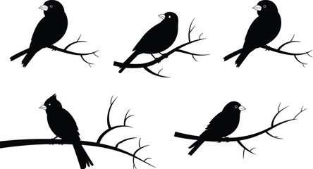 Fototapeta premium Black silhouettes of five birds perched on branches with varied postures and crest details for decorative vector nature artwork