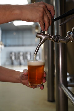 Cerveja Artesanal Estilos Cervejaria Fabrica Chopp Torneira