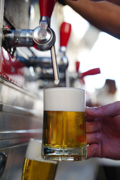 Cerveja Artesanal Estilos Cervejaria Fabrica Chopp Torneira