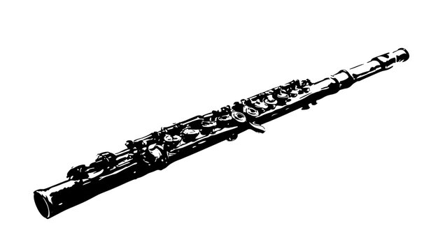 Close up view of a black assault rifle with accessories.