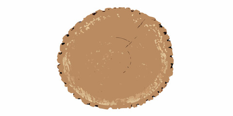 Tree trunk cross section illustration with visible growth rings on a white background annual bark © Bithi