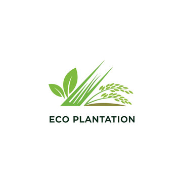 Eco friendly plantation logo with green leaves.