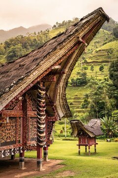 Traditional Torajan Tongkonan Ancestral House with Buffalo Horn Decorations and Curved Boat-Shaped Roof in Lush Green Mountains, Sulawesi Indonesia