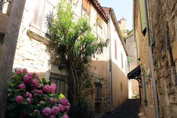 Fototapeta premium Ruelle pittoresque du village médiéval de Puy-l'Évêque