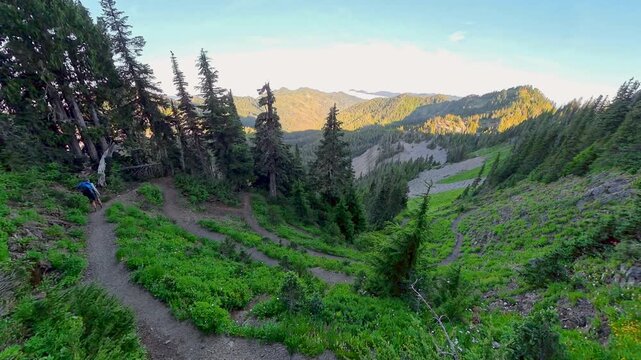 Man Hikes Down Winding Switchbacks in Olympic National Park