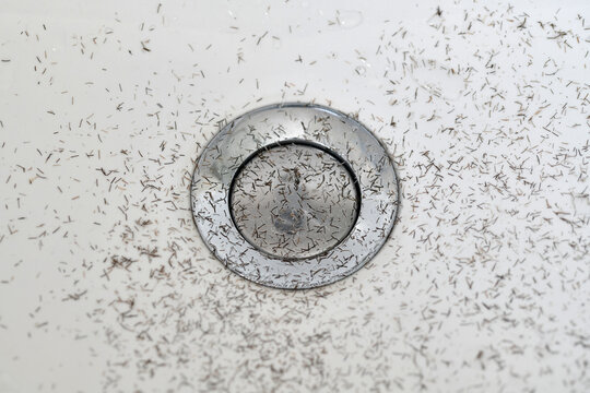 Bartstoppeln im Waschbecken