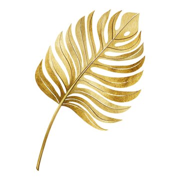 Beautiful watercolor illustration of a gold tropical palm leaf isolated on white background.