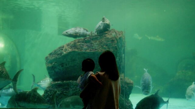 4K Video of an Asian mother holding her baby boy and looking at moon jellyfish in an aquarium.