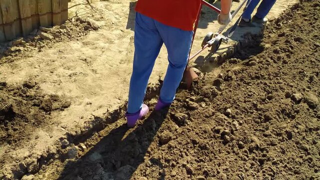 Two people work together to operate a manual hand plow, creating furrows in the tilled soil of a garden plot on a sunny day.