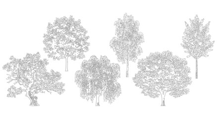 Five textured tree species isolated on transparent background elevation view © ArifulHaq