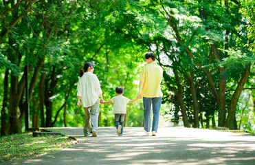 Fototapeta premium 手を繋いで公園を歩く三人家族