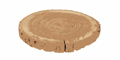 Tree trunk cross section illustration with visible growth rings on a white background annual bark © Debashis