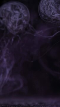 Vertical video: Rising purple vapor plume in studio forming toroidal rings from base driven by air