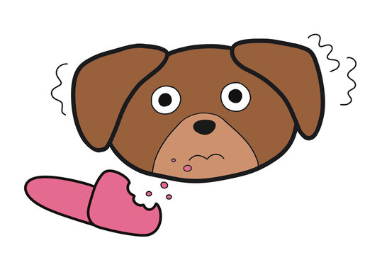 dog chewing on slipper, transparent blackground