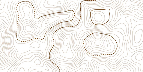 Topographic map lines, contour background. Background of the topographic map. Image grid geographic relief topographic contour line maps cartography texture © MstMomena