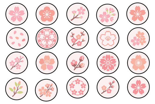 Cherry blossom and sakura round line icons set, japanese spring flower highlights, covers, badges and kamon emblems collection on transparent background