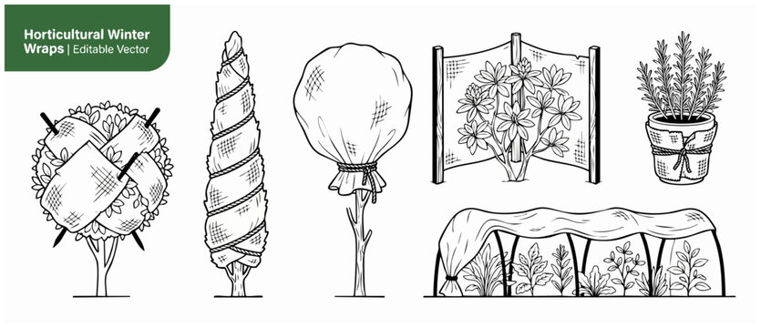 Winter plant protection vector illustration of horticultural wraps, burlap shrub covers tree stakes and garden windbreaks to prevent frost damage, displayed in clean black and white line art elements.