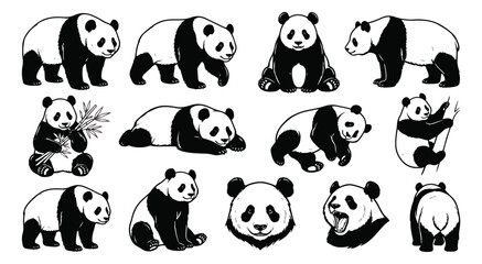 Giant panda bear vector set, 13 black and white panda illustrations in various poses, hand drawn wildlife animal sketches for nature conservation design © ishrat