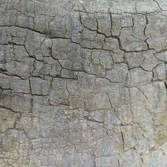Fototapeta premium Detailed view of cracked dark grey charcoal wood surface texture