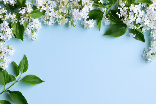 White spring flowers and green leaves forming a floral edge provide an elegant light blue backdrop