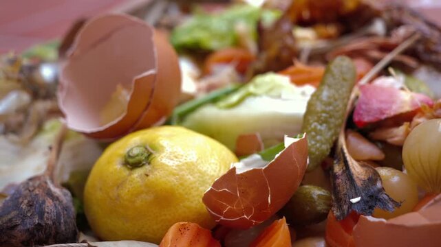 Food waste with discarded vegetable scraps, eggshells and lemon peel for composting and recycling concept. High quality 4k footage
