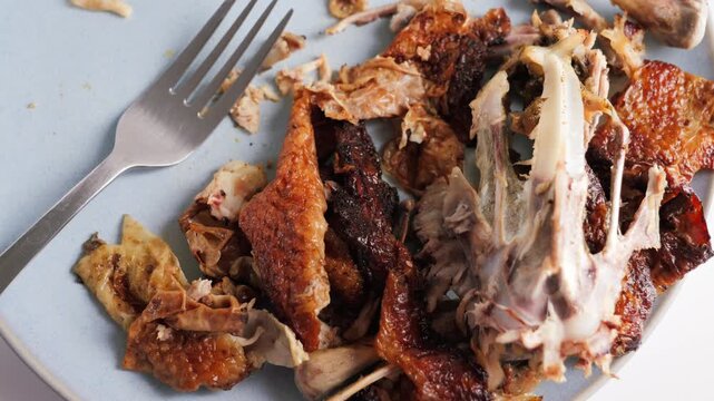 Close-up of chicken bones left on a plate after a meal. Food leftovers, finished dining and household food waste concept. High quality 4k footage