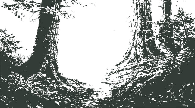 monochrome forest trees, giant trunks