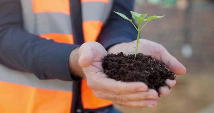 Plant, soil and hands of construction worker on site with sustainable building material for renovation. Man, infrastructure and civil engineer with leaf for eco friendly architecture development.
