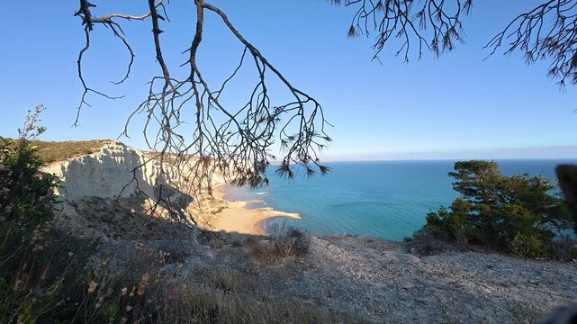 Scenic view of Zapalo Bay and white cliffs through pine tree branches, Limassol, Cyprus