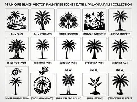 Set of 16 detailed date and palmyra palm tree icons with various botanical styles for agricultural or tropical landscape design botanical agriculture tropical