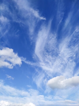 Cloudy sky. Various types of white clouds on a blue sky. Background, wallpaper.