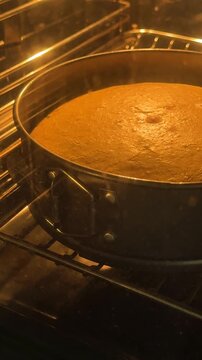 Delicious cake baking and rising in the oven