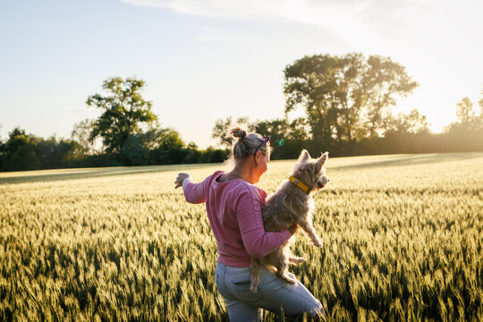 Woman holding her dog and walking in field during sunset. Joy of spending time with pet together outdoors in summer