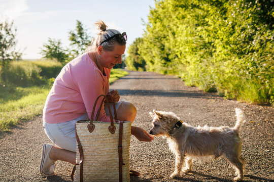 Woman rewards her terrier with treat during obedience training. Dog walking