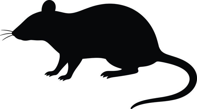 Black silhouette of a rodent mouse