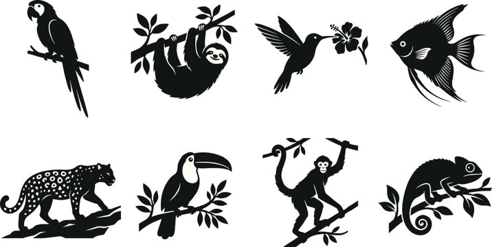 Black silhouettes of tropical animals and plants parrot sloth hummingbird fish leopard