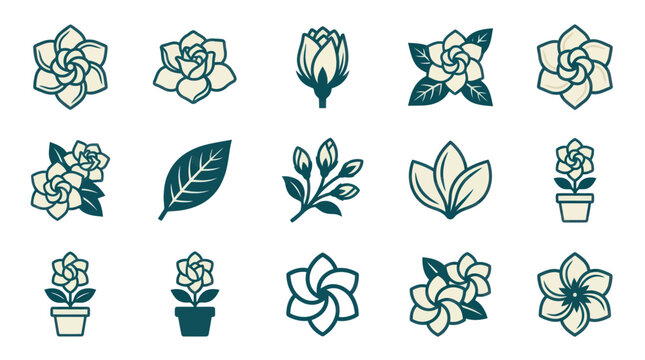 Collection of various flower illustrations.